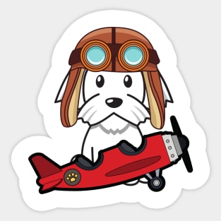 Cute white dog is in a vintage airplane Sticker